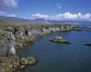 Deserted Icelandic Coastline Prints: Cliffs formed by volcanic basalt columns
