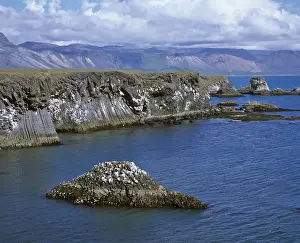 Uninhabited Coastal Landscape Prints: Cliffs formed by volcanic basalt columns