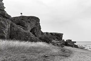 Black And White Coastal Scene Prints: Cliffs made of reef limestone, distinctive coastline