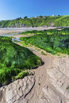 England Coastal Scenes Prints: Cliffs and rocks by the Bantham Beach