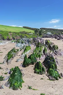 Deserted British Beaches Prints: Cliffs and rocks by the Bantham Beach