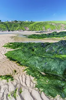 Prints of Cliffs and rocks by the Bantham Beach, Kingsbridge, Devon, England, United Kingdom Bantham Prints: Bantham Beach Cliffs Print, Devon, England