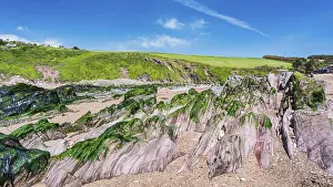 England Coastal Scenes Prints: Cliffs and rocks by the Bantham Beach