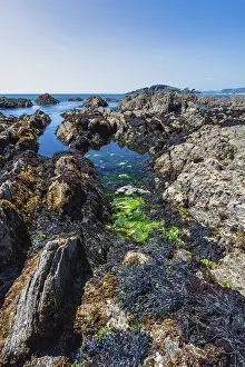 England Coastal Scenes Prints: Cliffs and rocks by the Bantham Beach