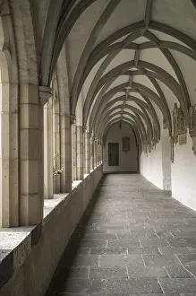 Images Dated 15th August 2024: Part of a Cloister Print - Monastery Architecture