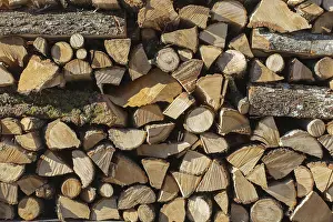 Images Dated 11th June 2024: Close-up Firewood Stack Print
