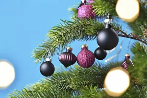 Close Up Christmas Tree Ornaments Prints: Close up of purple