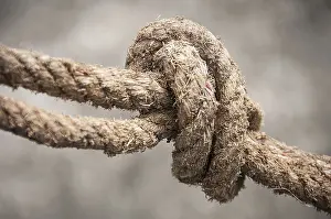 Blurred Background Image Prints: Close up of rope with blurred background