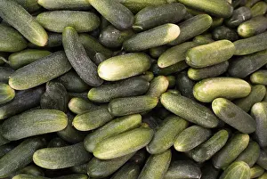 Cucumber Detail View Prints: Close up of stacked cucumbers