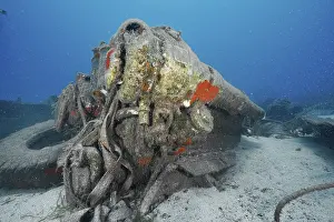 Russian Hydrofoil Wreck Prints: Close-up of the engine of a corroded wreck on the seabed