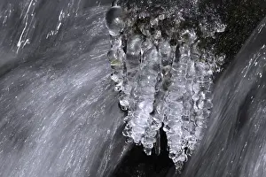Elbe Sandstone Mountains Scenery Prints: Close-up of icicles on a mountain stream