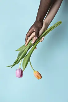 Multiethnic Hands Prints: A close-up image captures the harmonious interaction of multiethnic hands