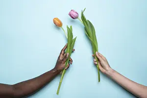 Pastel Blue Background Prints: Close-up of a multiethnic pair of hands