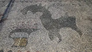 Paving Stone Pattern Prints: Close-up of a paving stone with an incorporated pattern on the surface
