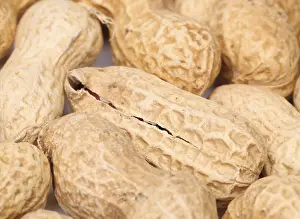 Studio Shot Of Peanuts Prints: Close-up of some peanuts. background of some peanuts