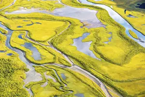Prints of Close-up of the Rapadalen river delta, Rapaalv river, Sarek National Park, Laponia, Lapland, Sweden Close-up of the Rapadalen river delta, Rapalv river, Sarek National Park, Laponia, Lapland, Sweden River Prints: Close-up of the Rapadalen river delta Print, Sweden