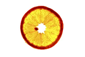Orange Nutrition Facts Prints: Close-up, slice of an orange in back light