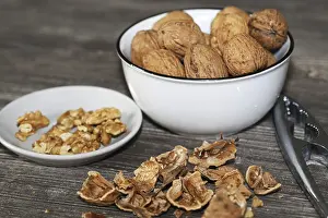 Close Up Walnuts Prints: Close-up of walnuts on the table