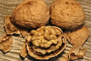 Close Up Walnuts Prints: Close-up of walnuts on the table