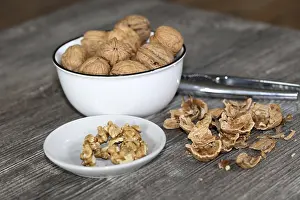 Walnut Photography Prints: Close-up of walnuts on the table