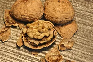Close Up Walnuts Prints: Close-up of walnuts on the table