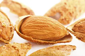Studio Shot Of Nuts Prints: Close up view of roasted almonds in shell