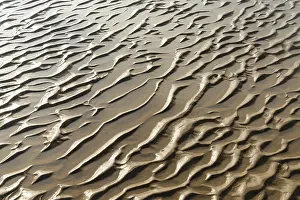 Deserted Coastline Prints: A close up view of sand structures at low tide on a beach