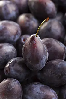 Open Air Nature Shots Prints: Closeup of plums