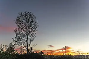 Prints of Cloud and clear sky during a sunset. Le Rozier, Millau, Grands Causses, Florac, Lozere, Occitanie, Cevennes, France Cloud and clear sky during a sunset Lozere Prints: Cloud and Clear Sky Sunset Print, Le Rozier, France
