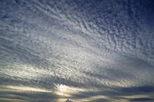 Cloud Blanket Prints: Cloud formation, Altocumulus translucidus