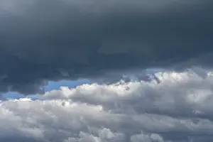 Blue Sky Weather Forecast Prints: Cloud formation (cumulus), low clouds
