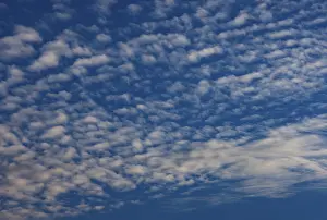 European Evening Sky Prints: Cloud landscape of altocumulus clouds at dusk