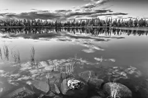 Lapland Landscape Prints: Cloud reflection in a forest lake