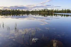 Swedish Forest Lake Prints: Cloud reflection in a forest lake