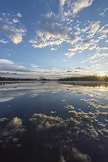 Prints of Cloud reflection in a forest lake, Norrbotten, Lapland, Sweden, July 2017 Lake Prints: Cloud Reflection Print, Norrbotten, Lapland, Sweden 2017