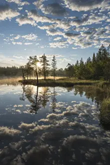 Lapland Province Scenery Prints: Cloud reflection in a forest lake
