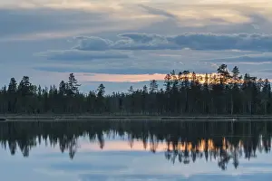 Prints of Cloud reflection in a forest lake, Norrbotten, Lapland, Sweden, July 2017 Lake Prints: Cloud Reflection Print, Norrbotten Lake, Sweden