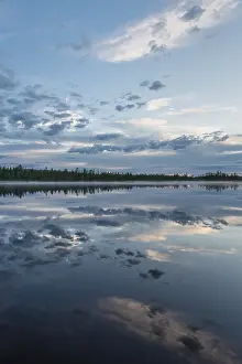 Norrbotten Countryside Prints: Cloud reflection in a forest lake