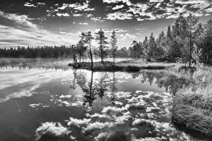 Cloudy Sky Over Lake Prints: Cloud reflection in a forest lake