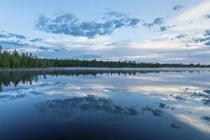 Prints of Cloud reflection in a forest lake, Norrbotten, Lapland, Sweden, July 2017 Lake Prints: Cloud Reflection Print, Norrbotten, Lapland Sweden