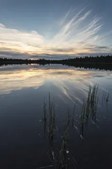 Lapland Province Landscapes Prints: Cloud reflection in a forest lake