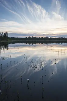 Scandinavian Travel Photography Prints: Cloud reflection in a forest lake