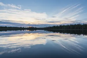 Prints of Cloud reflection in a forest lake, Norrbotten, Lapland, Sweden, July 2017 Lake Prints: Cloud Reflection Print, Norrbotten, Lapland Sweden 2017
