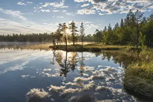 Prints of Cloud reflection in a forest lake, Norrbotten, Lapland, Sweden, July 2017 Lake Prints: Cloud Reflection Print, Norrbotten, Lapland Sweden 2017