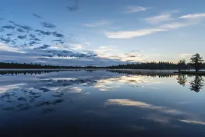 Prints of Cloud reflection in a forest lake, Norrbotten, Lapland, Sweden, July 2017 Lake Prints: Cloud Reflection Print, Norrbotten, Lapland Sweden