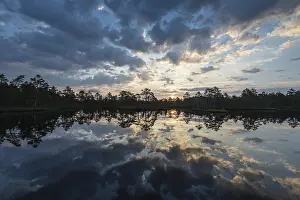 Swedish Wetland Biotope Prints: Cloud reflection in a moor lake