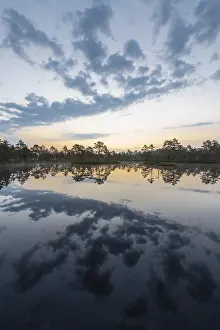 Prints of Cloud reflection in a moor lake, Knuthojdsmossen Nature Reserve, Vastmanland, Sweden, July 2018 Cloud reflection in a moor lake, Knuthjdsmossen Nature Reserve, Vstmanland, Sweden, July 2018 Lake Prints: Cloud Reflection Print, Knuthojdsmossen Nature Reserve, Sweden