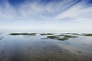 Central Europe Waterfront Landscape Prints: Cloud reflection in the mudflats