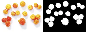 Rosaceae Family Prints: Cloudberries (Rubus chamaemorus), top view