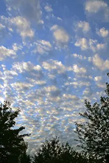 Atmospheric Light Effects Prints: Clouds at blue sky in sunset light